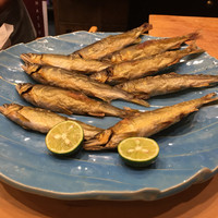 初音鮨 - 