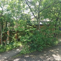 一心鮨 光洋 - 