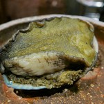 アカ - 黒あわび