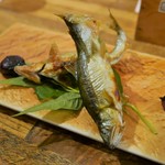 ビストロ割烹 YAOYA - 鮎塩焼き