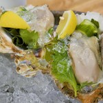 ビストロ割烹 YAOYA - 岩牡蠣