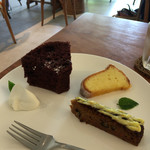 サリーガーデン - 