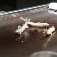 鉄板焼き いわ倉 - 