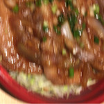 どんぶり 丼 - 