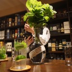 ムーンシャイン - 