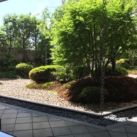 日本料理 木の花 - 
