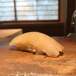 菊鮨 - 長崎アオリイカ