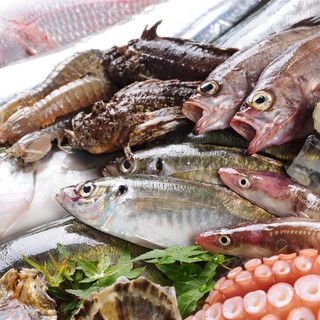 濑户内海的时令鱼类（小沙丁鱼、海鳗、牡蛎）是我们引以为豪的！