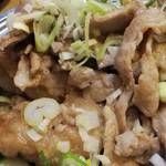 おやひなや - 塩豚丼＆塩唐揚げのアップ