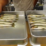 新ばし 笹田 - 鮎（熊本＆広島）