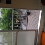 杁中商店街隼人池もりたこ - ２階はベランダがあるんだ～!!(・´з`・)