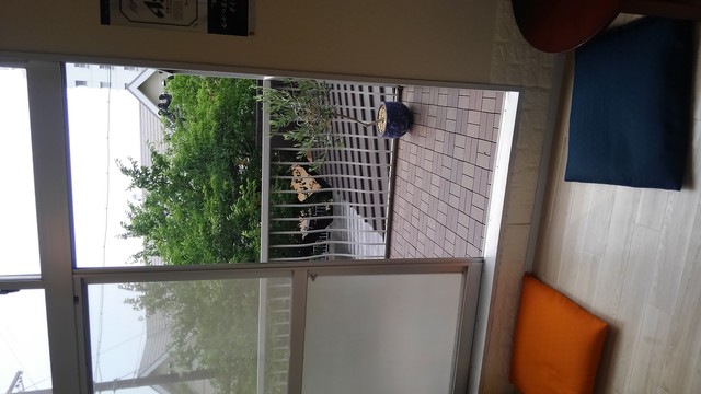 Irinaka Shoten Gai Hayato Ike Moritako photo 5