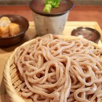 自家製粉石臼挽きうどん 青空blue 本店 - 20170620自家製粉粗挽きうどん大盛