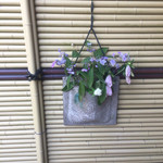 美鈴 - 美鈴さんの玄関の入り口に生けてあった花