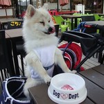 DOG DEPT.+CAFE - 満足??