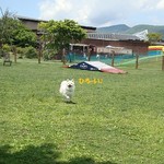 DOG DEPT.+CAFE Karuizawapurinsuten - 軽井沢で放牧♪