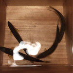 松川 - 美山産 鮎