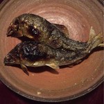 松川 - 美山産 鮎