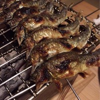松川 - 美山産 鮎