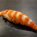 鮨 はしもと - 車海老