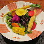 傳 - 中皿：畑の様子1