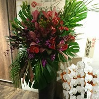 アクイロット - 
