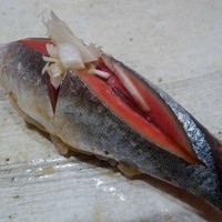 鮨 近藤 - 秋刀魚
