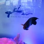 MARINA RESTAURANT TRIM - 
