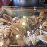 てんぷら 脇坂 - 17'6月