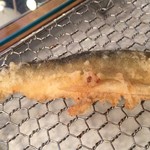 てんぷら 脇坂 - 17'6月 あゆ