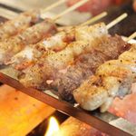 国产烤鸡肉串手工串烧拼盘（6个）