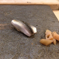寿司処 しん - 