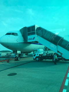 ANA全日空成田発着国際線機内食 -