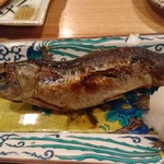 夜ノ焼魚 ちょーちょむすび - 