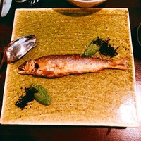 セルサルサーレ - 