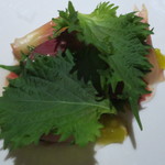 レフェルヴェソンス - 