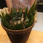 はらまさ - 鮎焼いています