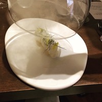 ル スプートニク - 