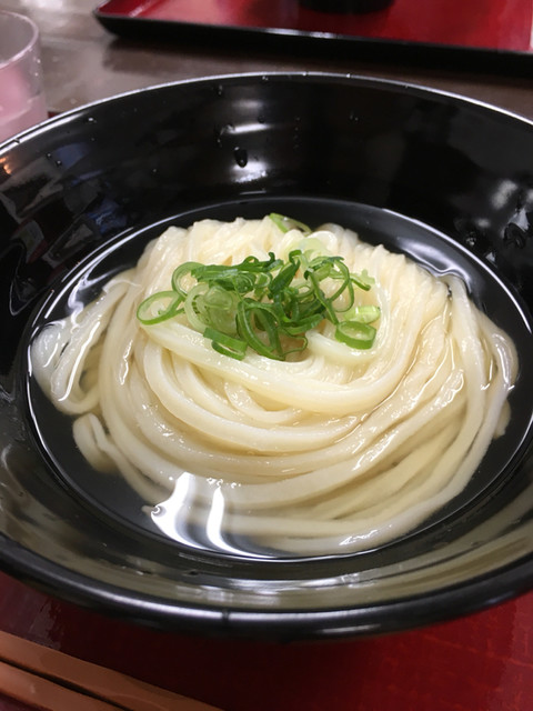 ブラタモリ に登場した純手打ちうどん 山とも By アリーちゃん 山とも 宇多津 うどん 食べログ ブラタモリ に登場した純手打ちうどん 山とも By アリーちゃん 山とも 宇多津 うどん 食べログ