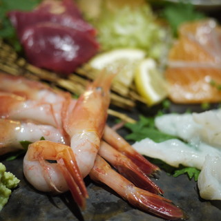 酒と肴と炉端とマルコ