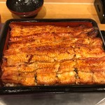 鰻 むさし乃 - 新仔鰻重（ご飯大盛）アップ