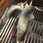 黒茶屋 - ⑤川魚の炭火焼