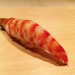 鮨 さかい - 志賀島の車蝦
