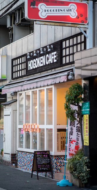 保護犬カフェ 堺店 Hogoken Cafe 堺市 カフェ 喫茶 その他 食べログ 保護犬カフェ 堺店 Hogoken Cafe 堺市 カフェ 喫茶 その他 食べログ
