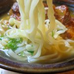 風遊斎 - カラサンスバの麺