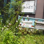食堂　みつばち - 