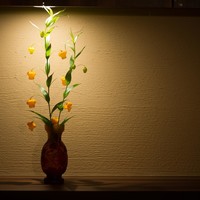 Kakyo 花鏡  - 
