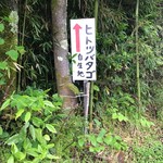 パイナップル - パイナップルさんから近くにあるヒトツバタゴの自生地❗️5月14日日曜日訪問❗️