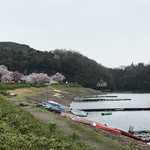 パイナップル - お花見の頃入鹿池の桜が満開でした♫❗️