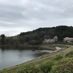 パイナップル - 曇り空が残念だがね〜…❗️